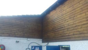 20161113_160741 (Medium)